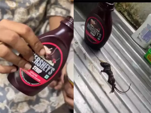 Rat 